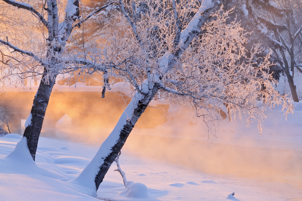 Enjoying breathtaking winter landscapes in kalamazoo is one of our favorite things to do in kalamazoo this winter