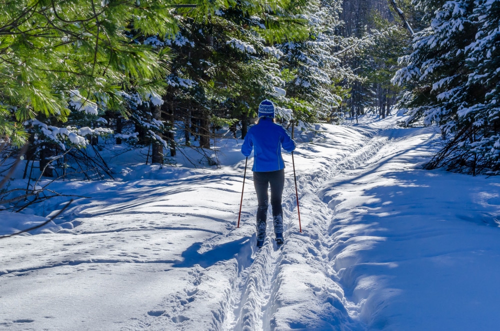 Cross country skier in the woods, enjoying other snow sports aside from those at timber ridge ski area